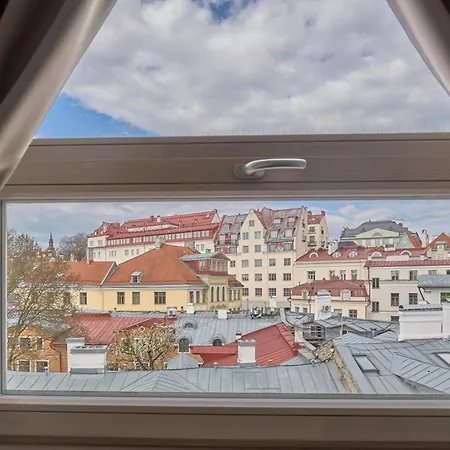 Charming Penthouse With Sauna In Old Town *