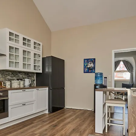 3-bedroom Penthouse With Sauna In Old Town
