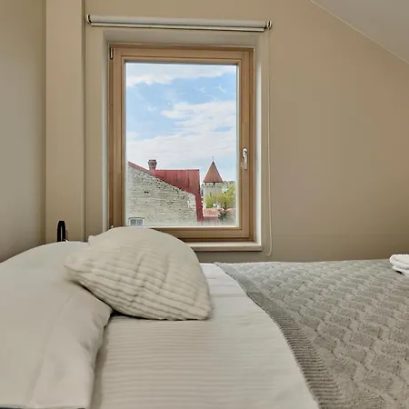 Charming Penthouse With Sauna In Old Town * Reval