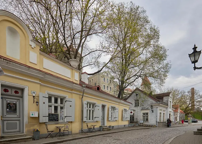 Charming Penthouse With Sauna In Old Town Apartament