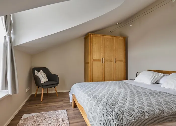 Charming Penthouse With Sauna In Old Town Apartament *