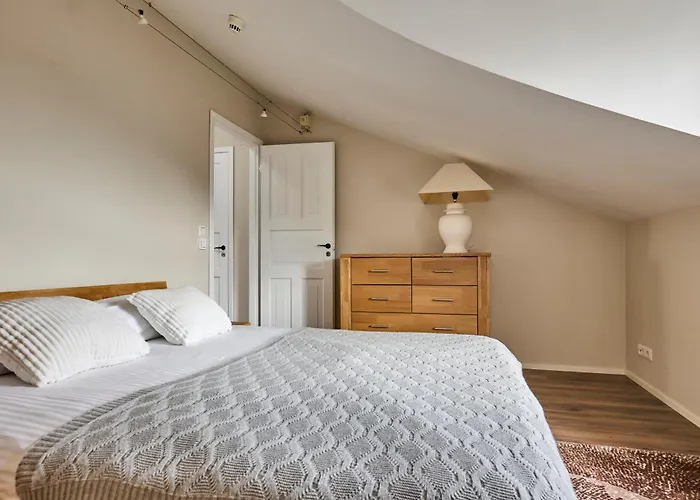 Charming Penthouse With Sauna In Old Town Tallin